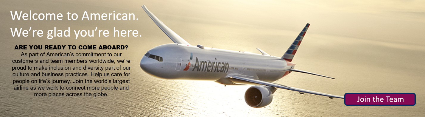 American Airlines image